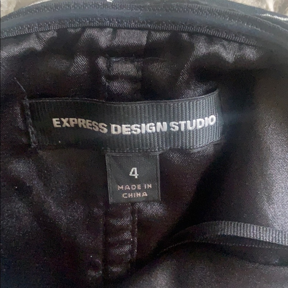 Express Dress - Picture 3 of 3
